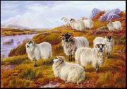 unknow artist Sheep 063 Spain oil painting artist